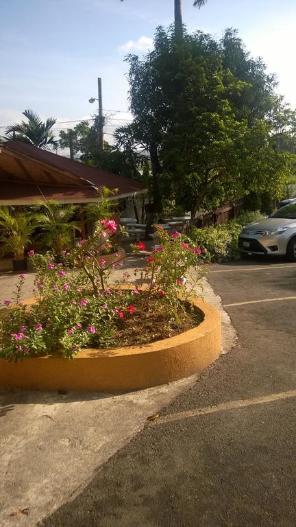 Palm Bay Guest House & Restaurant มอนเทโกเบย์ ภายนอก รูปภาพ
